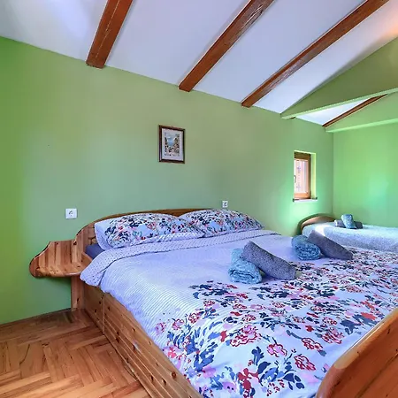 Question 42 - Comfort Póla